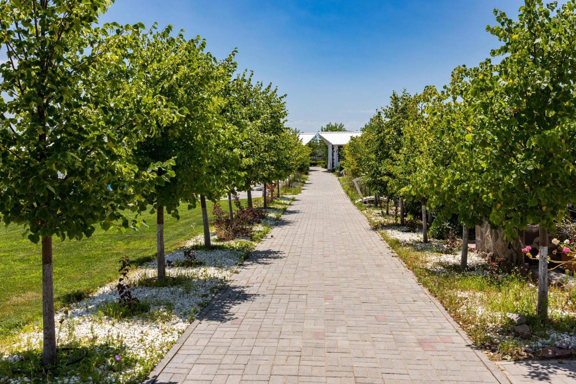 La Dolce Vita Resort Kapszagaj Zewnętrze zdjęcie